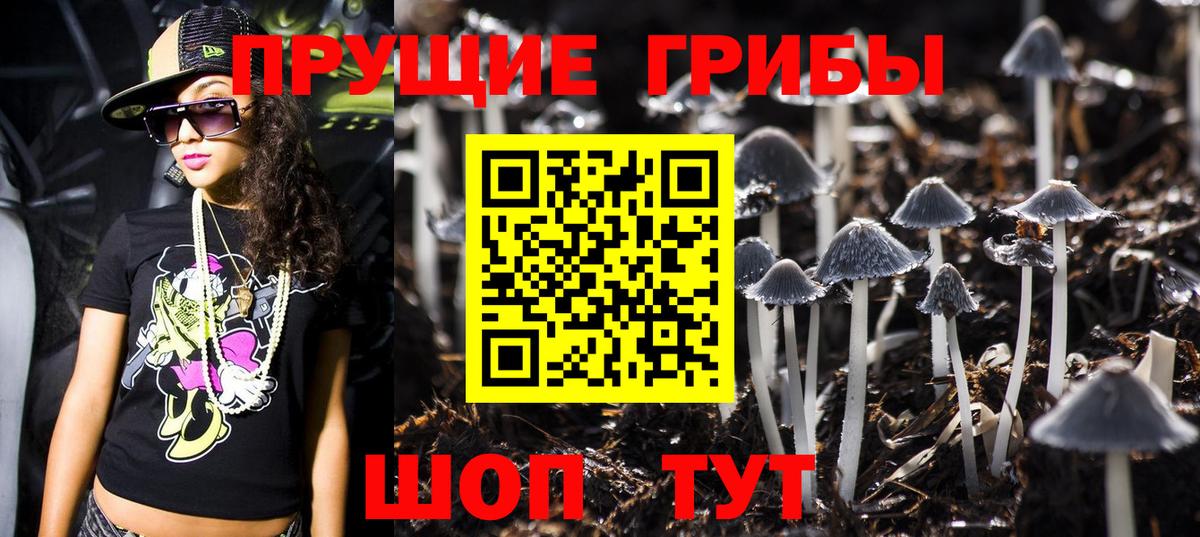 Галлюциногенные грибы GOLDEN TEACHER  Псилоцибиновые грибы мухоморы  Вход с VPN  Десногорск 